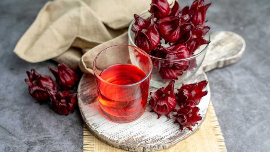 Flor de Jamaica: una mina de oro natural (hibisco)