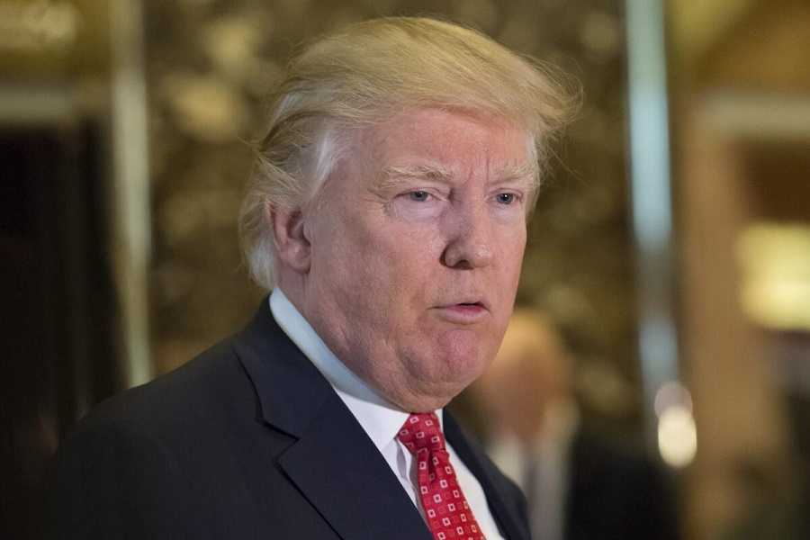 El aprendiz aprendió. Trump, la película, pronto en cines