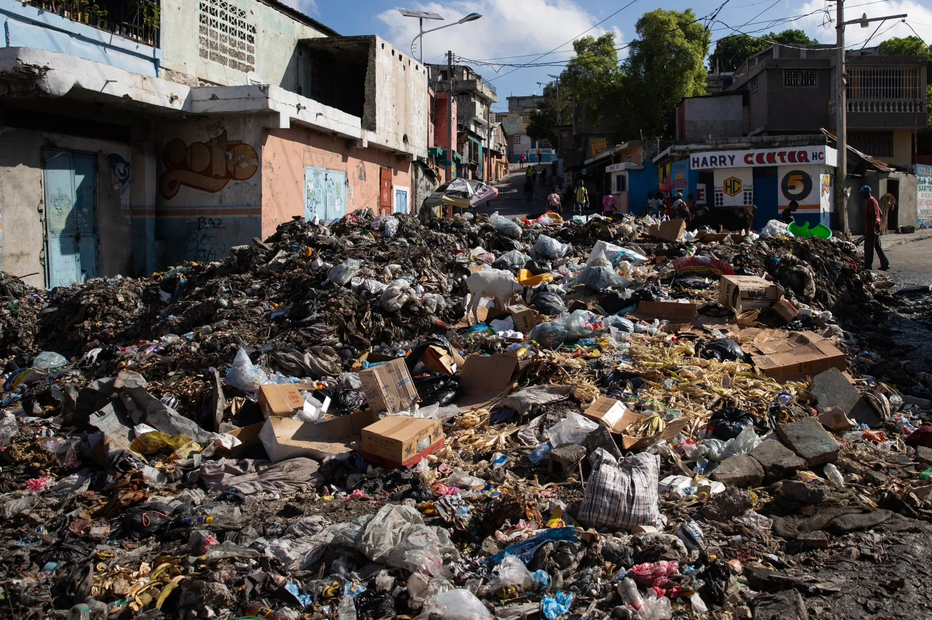 Fotografía de basura en una calle del barrio Bel Air este jueves en Puerto Príncipe (Haití). EFE/ Orlando Barría