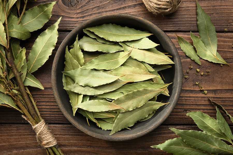 Los increíbles beneficios del laurel para tu salud
