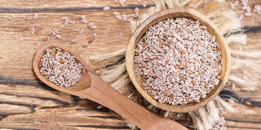 Mejora tu salud intestinal / Usar Psyllium te cambiará la vida