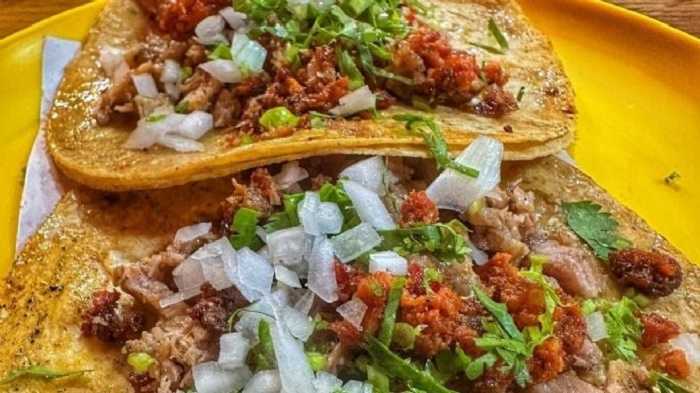 Taquitos campechanos