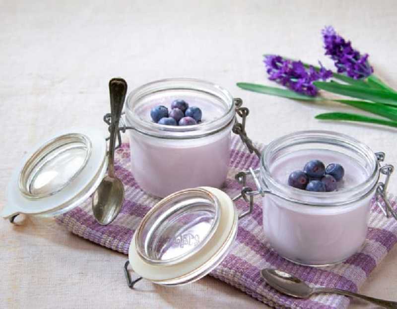 Panna cotta de arándanos: sabroso postre para merendar