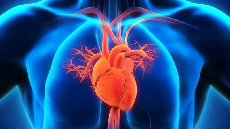 Vitaminas que previenen infartos. Mejora tu circulación