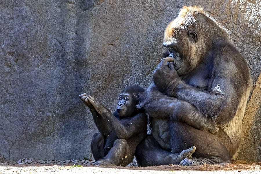 Efemérides 24 de septiembre de 2024