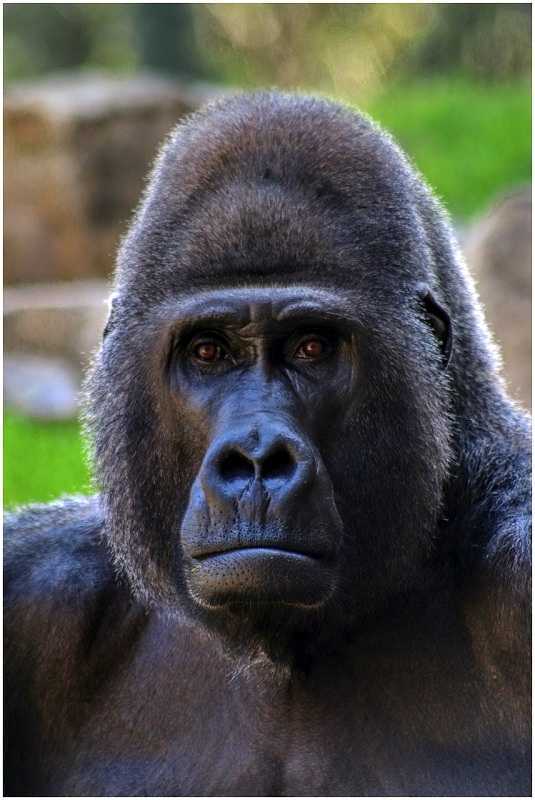 Efemérides 24 de septiembre de 2024