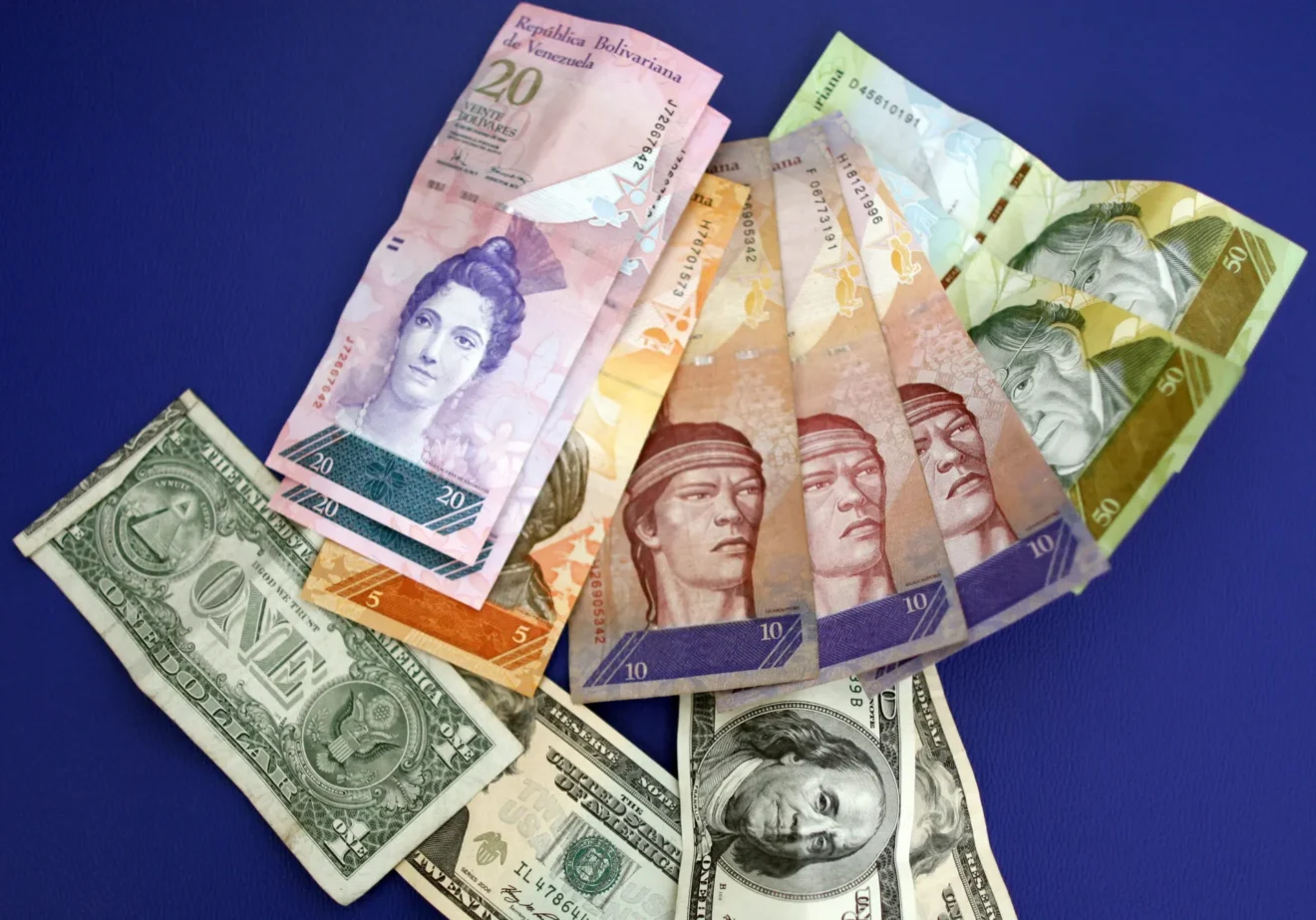 Detalle de varios billetes de dólar y de bolívar. EFE/David Fernández