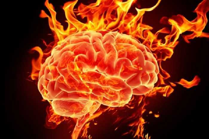 Cómo arreglar tu cerebro