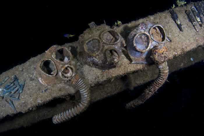 Las 7 cosas más extrañas