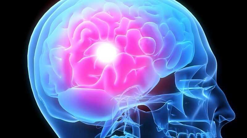 Envejecimiento del cerebro