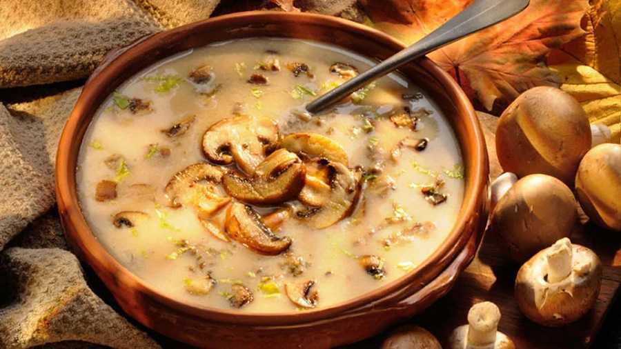 Sopa de champiñones: deliciosa receta para cenar en familia