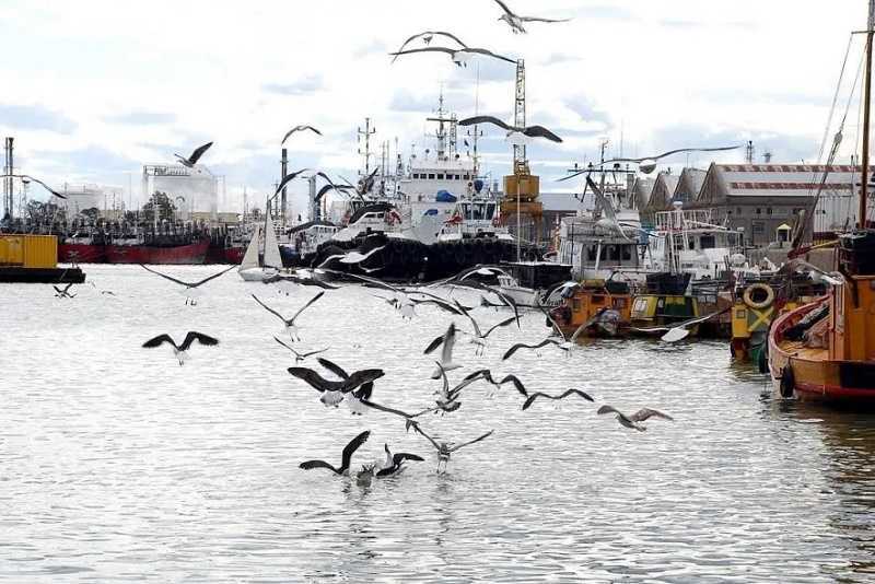 Los OVNIS de Bahía Blanca