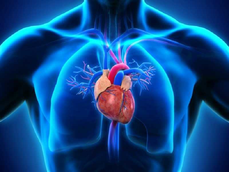 ¡El secreto para tener un corazón joven después de los 50!