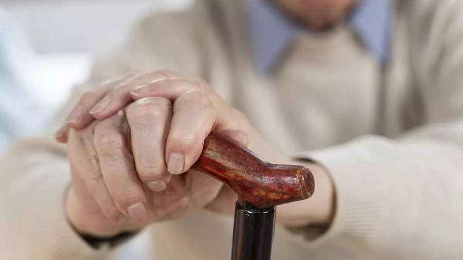 El abuelo perceptivo