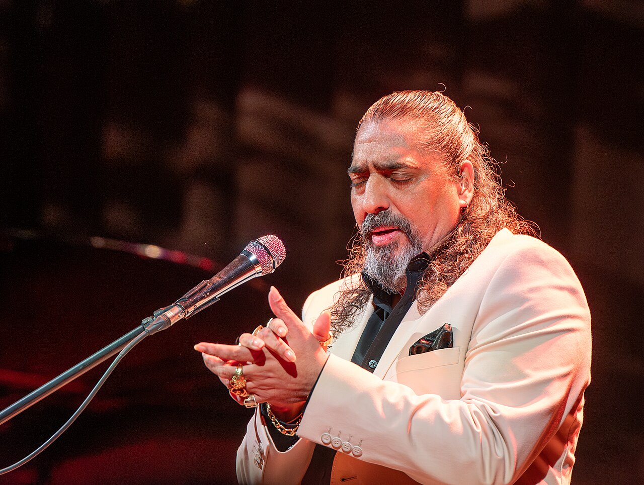 Diego el Cigala en concierto