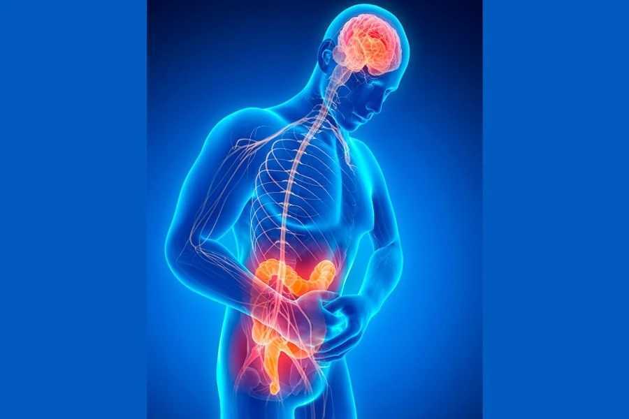 ¡Tu intestino controla tu mente y ánimo! Nadie te lo dice