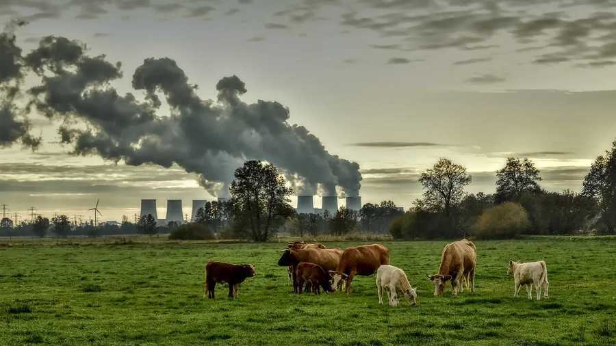 Solucionaremos el cambio climático