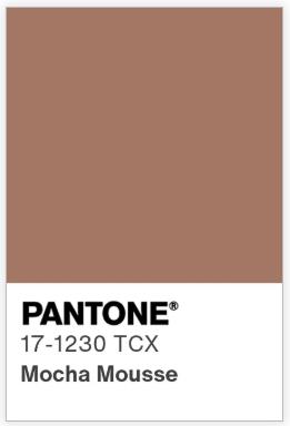 Mocha Mousse Pantone 2025