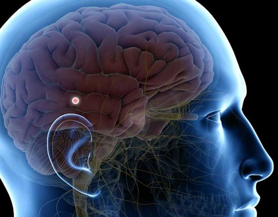 Misterios de la glándula pineal y su poder escondido