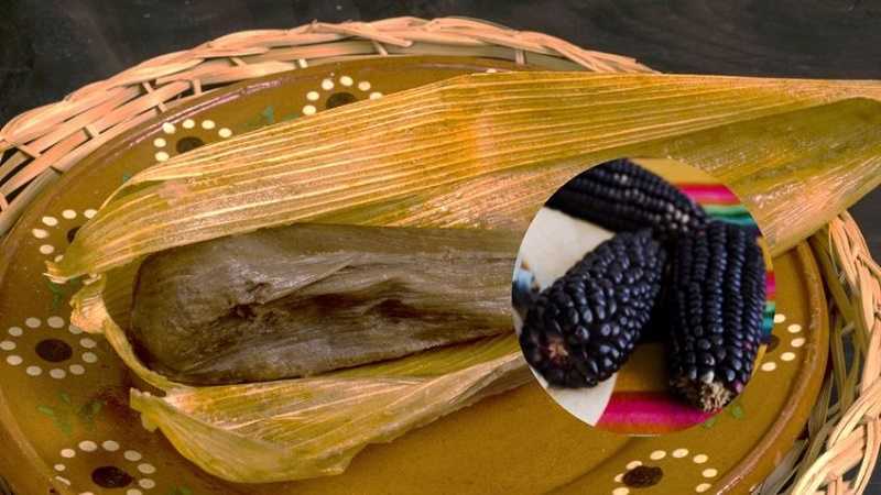 Tamales de masa azul
