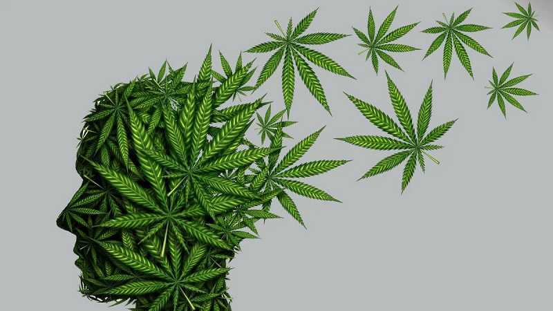 La marihuana es mala para el cerebro