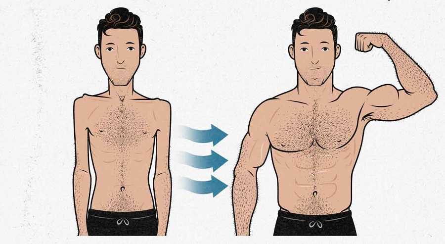 Trucos simples para ganar músculo