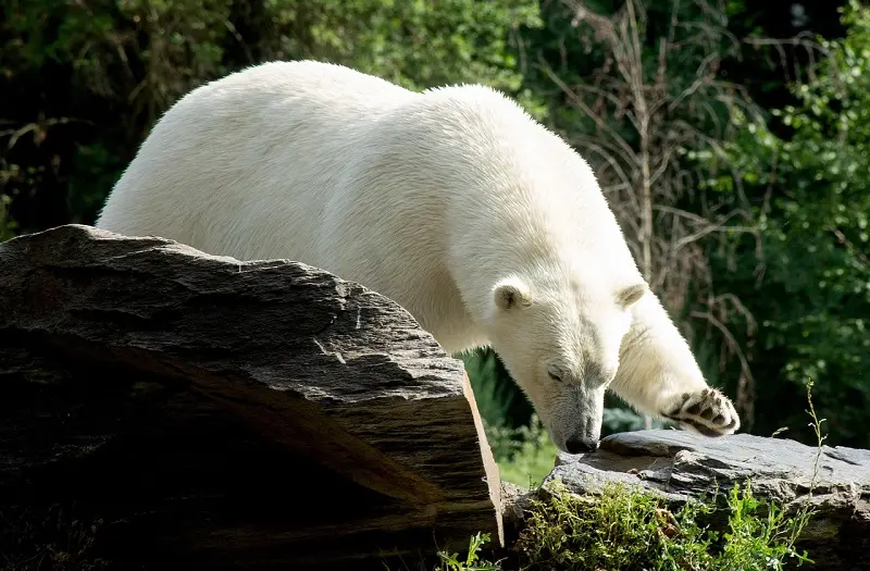 Efemérides 27 de febrero de 2025