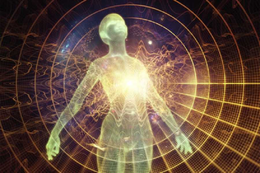 Por qué estamos vivos: vida, energía y ATP