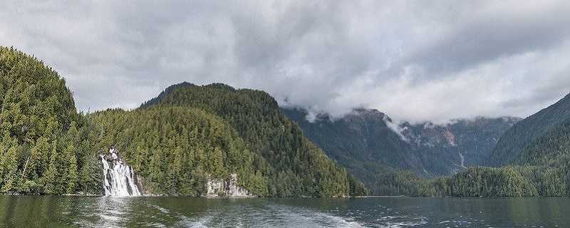 El bosque pluvial del Gran Oso en Canadá