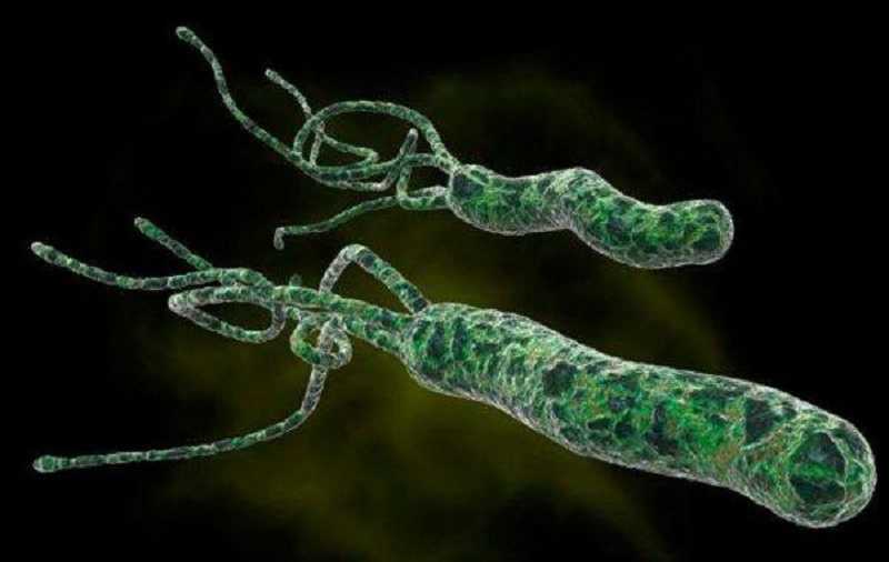 Tratamiento efectivo contra el Helicobacter Pylori