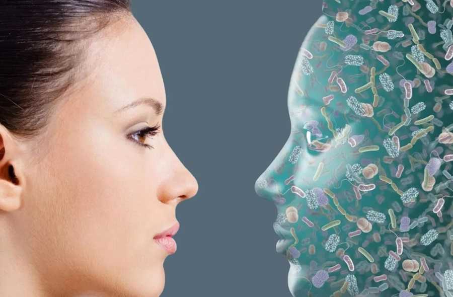 Rejuvenece tu piel y órganos con bacterias