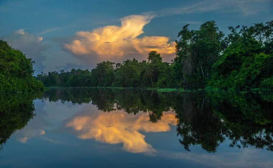 Venezuela de cerca: Selvas, mesetas y especies exóticas