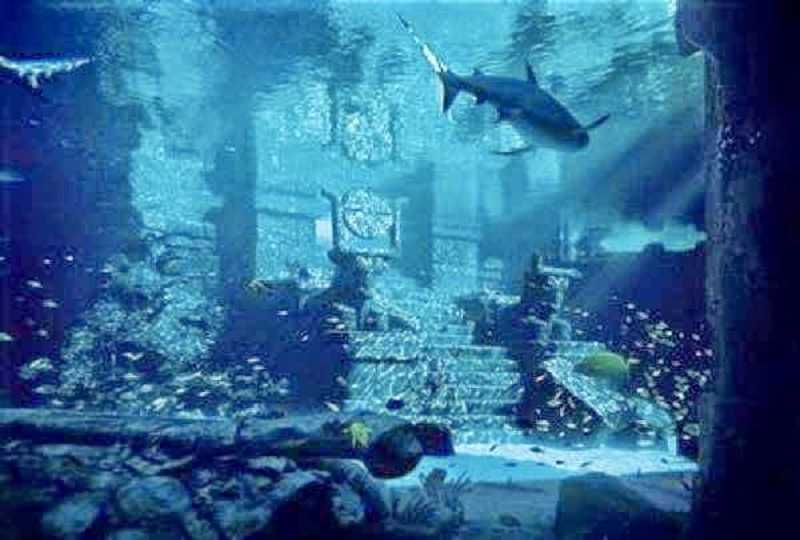Estructura gigante bajo el agua