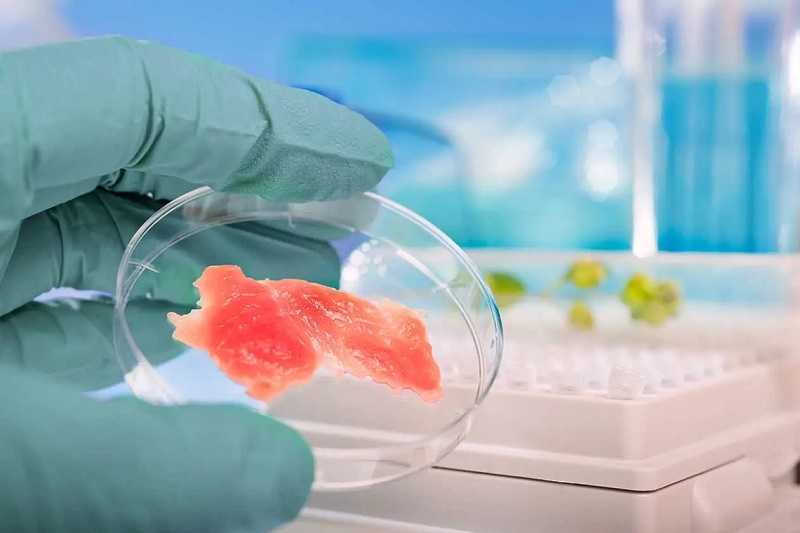 Agricultura vertical y carne cultivada