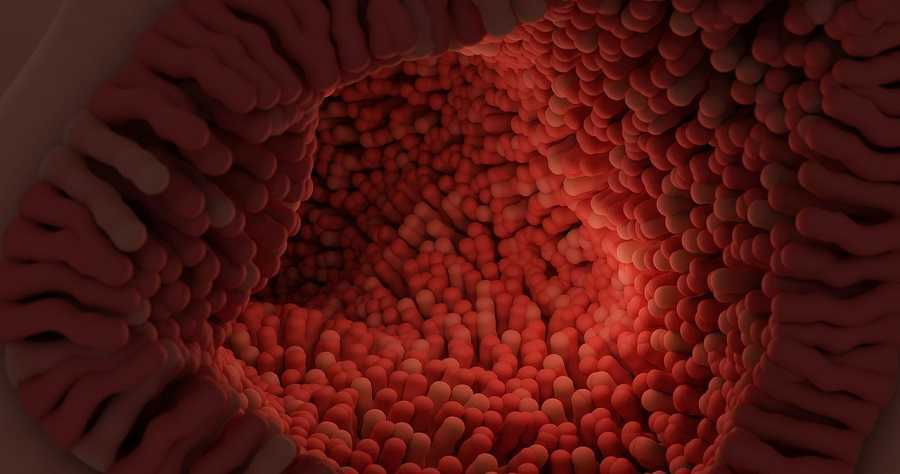 Revolución microbiana de la salud mental: nuevos descubrimientos