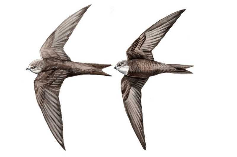 Efemérides 7 de junio de 2025