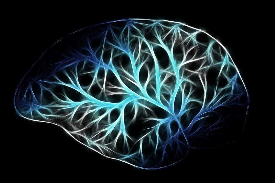 7 mitos del cerebro que la ciencia desmintió | Dra. Alicia Vargas