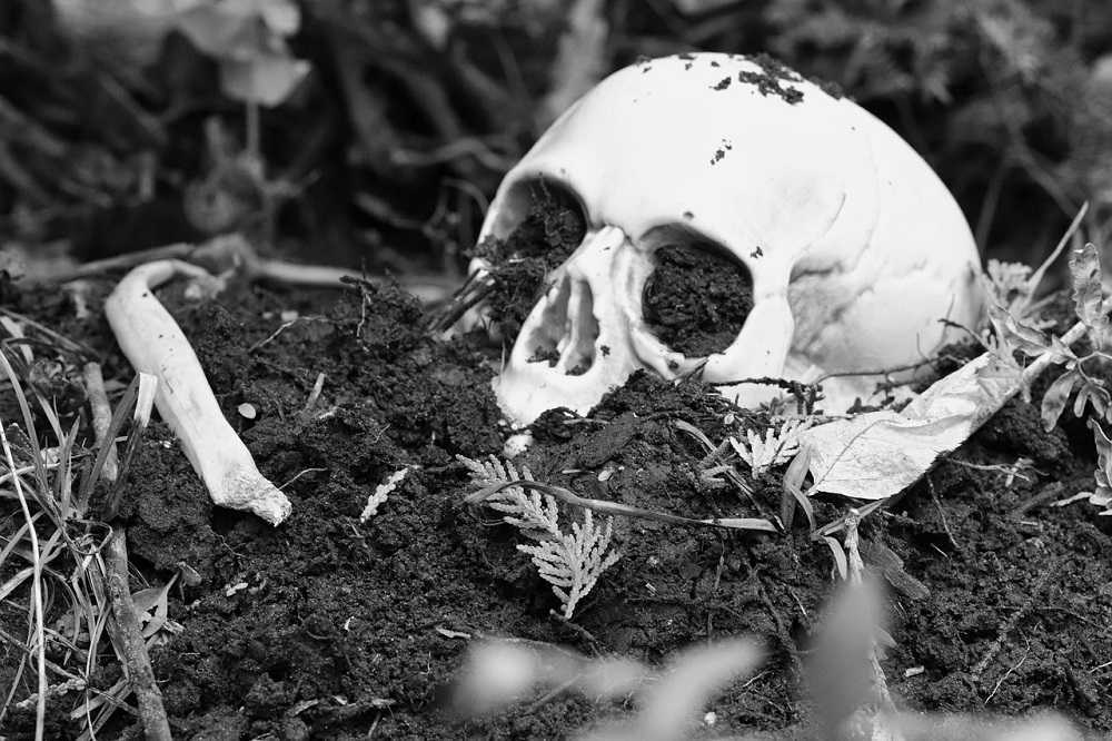Crimen resuelto por un vidente