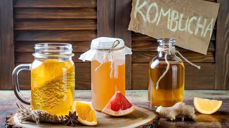 Kombucha SCOBY