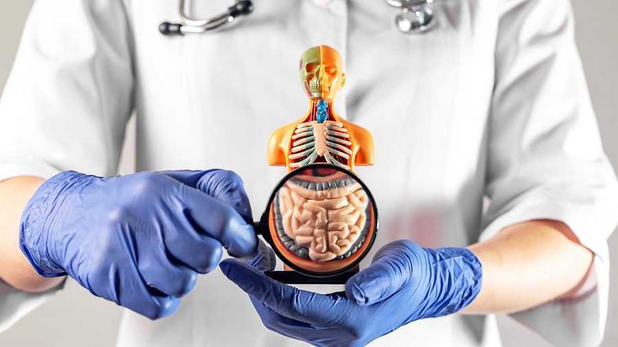 Cuida tu colon de manera efectiva