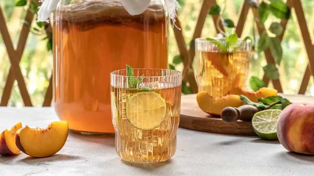 Kombucha SCOBY: el corazón viviente de una bebida fermentada