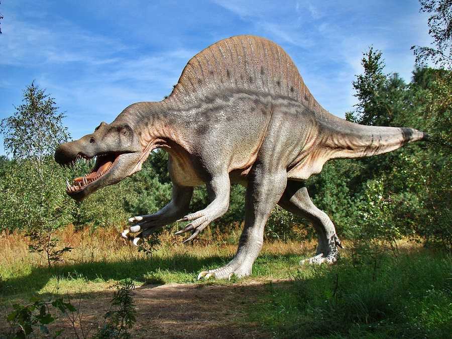 Por qué los dinosaurios eran tan grandes