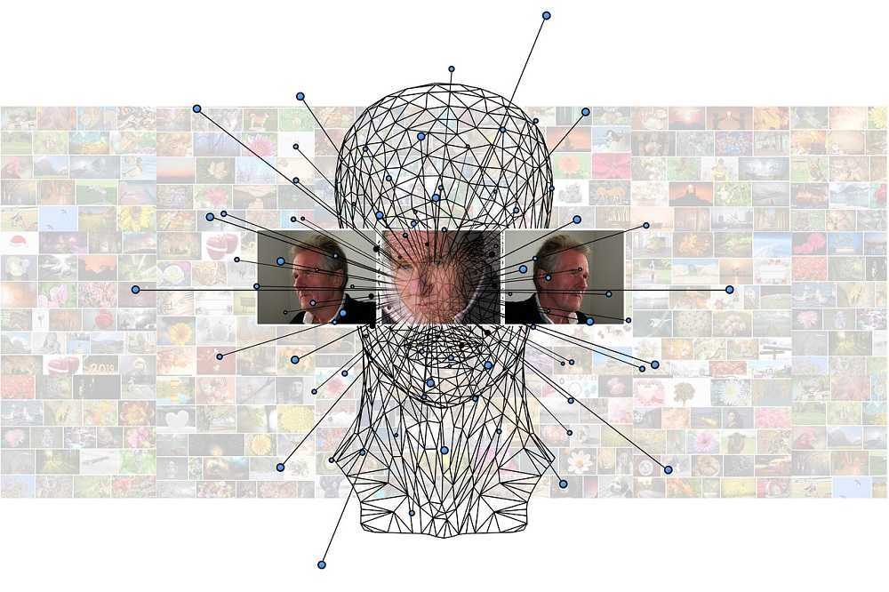 El factor humano