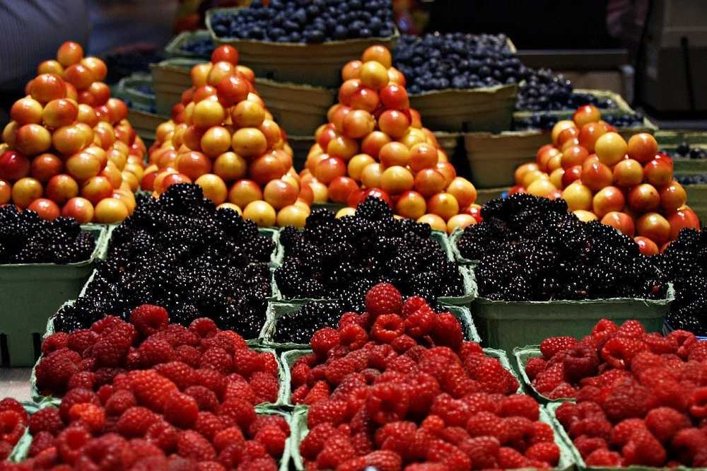 5 frutas para bajar de peso ¡Rápidamente!