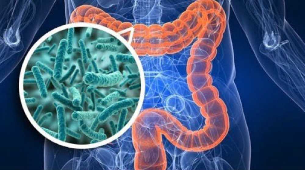 Butirato: el ácido graso que mejora tu salud en días