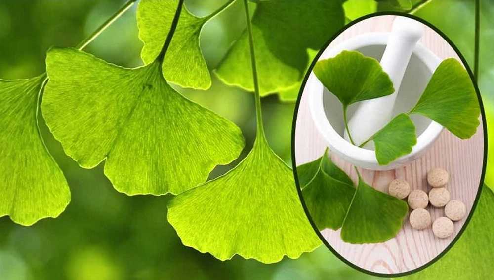 Suplementos naturales para la mente