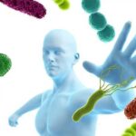 Nuestro sistema inmunológico: ¿arma milagrosa contra el cáncer?