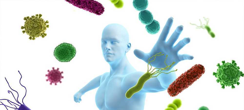 Nuestro sistema inmunológico: ¿arma milagrosa contra el cáncer?