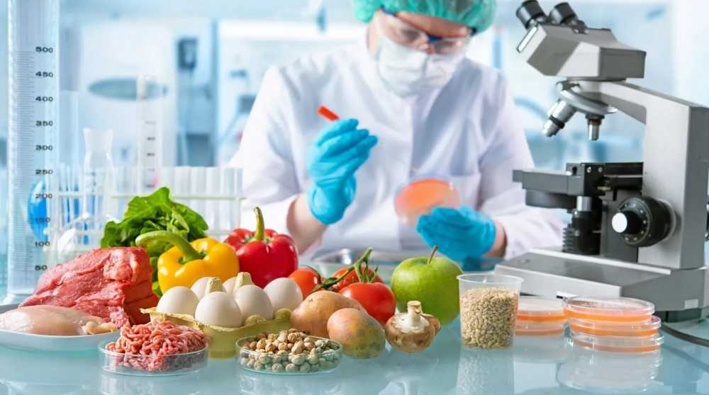 Alimentos modificados genéticamente: por qué le tenemos miedo