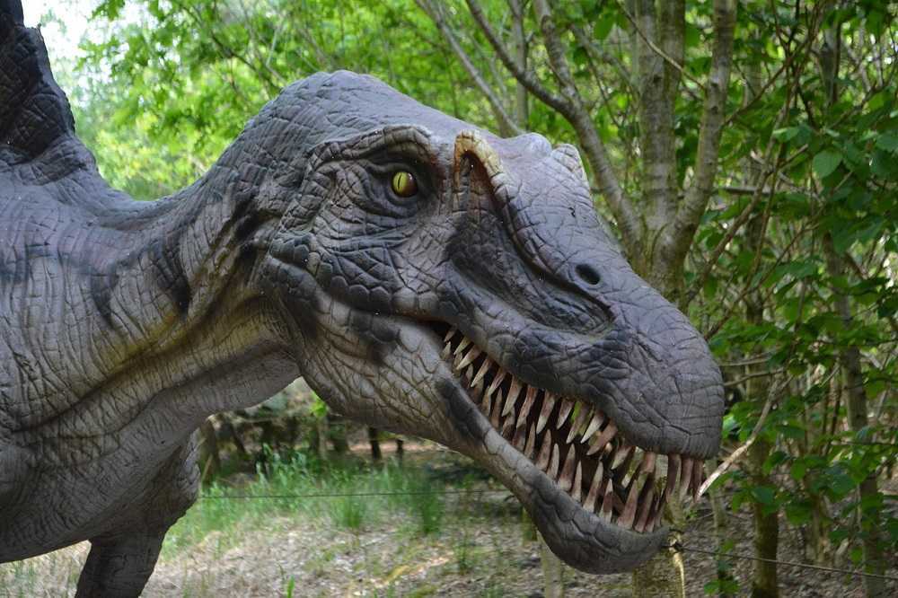 Cómo conocimos a los dinosaurios